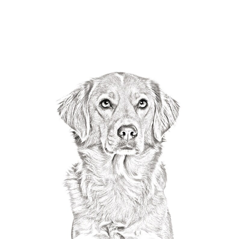 NEW collection of necklaces with images of purebred dogs sublimation unique gift Norsk elghund grigio