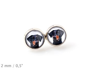 Dobermann. Pet in your ear. Earrings. Photojewelry. Handmade.