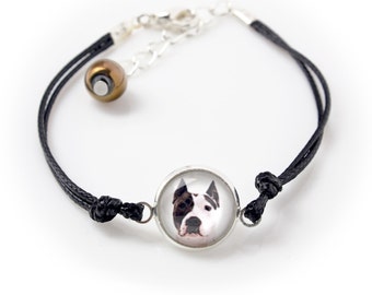 American Staffordshire Terrier. Bracelet for people who love dogs. Photojewelry. Handmade.