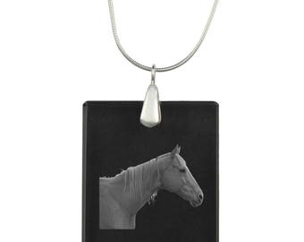 Retired Race Horse,  Horse Crystal Pendant, SIlver Necklace 925, High Quality, Exceptional Gift, Collection!