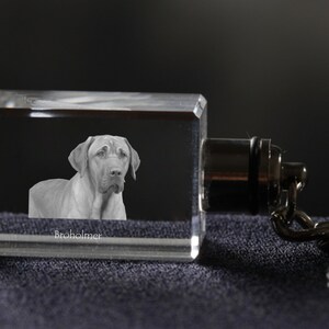 Broholmer , Dog Crystal Keyring, Keychain, High Quality, Exceptional Gift . Dog keyring for dog lovers