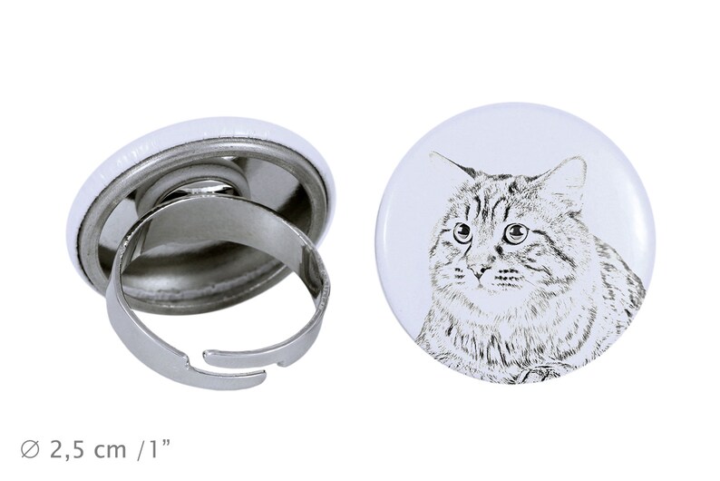 Kurilian Bobtail longhaired Ring with a cat