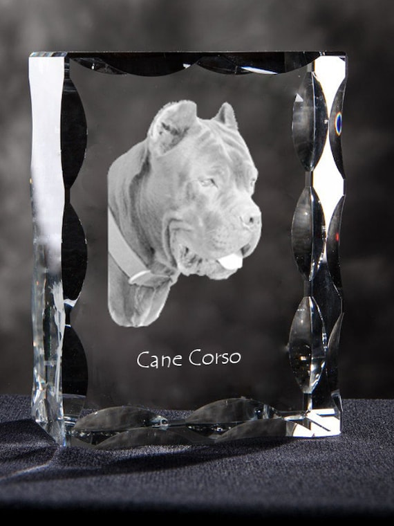 Cane Corso Italian Mastiff Cubic Crystal With Dog Souvenir Decoration Limited Edition Collection