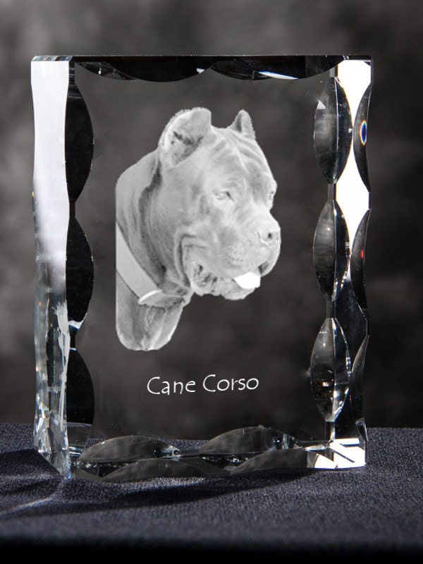 cane corso figurine