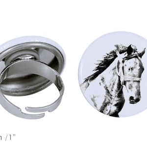 Ring with a horse - Mustang 