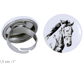 Ring with a horse - Mustang 