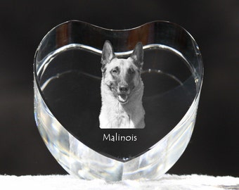 Belgian Shepherd, Malinois , crystal heart with dog, souvenir, decoration, limited edition, Collection