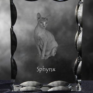 Sphynx cat  , Cubic crystal with cat, souvenir, decoration, limited edition, Collection