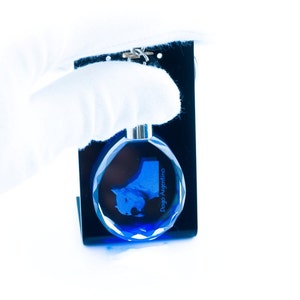 Teckel, Dog Crystal sleutelhanger, sleutelhanger, hoge kwaliteit, uitzonderlijke gave
