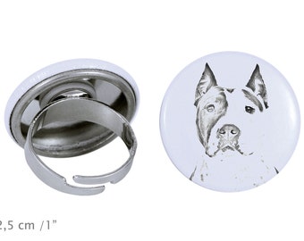 Ring with a dog - American Staffordshire Terrier