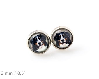 Bernese Mountain Dog. Pet in your ear. Earrings. Photojewelry. Handmade.