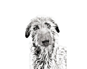 Limited Edition Deerhound Halskette ART-DOG 