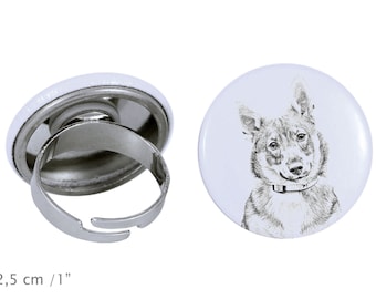 Ring with a dog- Swedish Vallhund