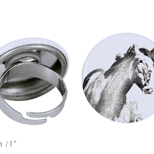Ring with a horse - Clydesdale