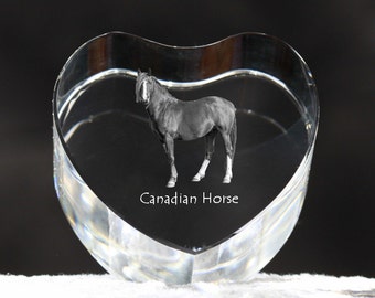 Canadian horse, crystal heart with horse, souvenir, decoration, limited edition, Collection