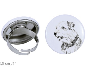 Ring with a dog - Norfolk Terrier