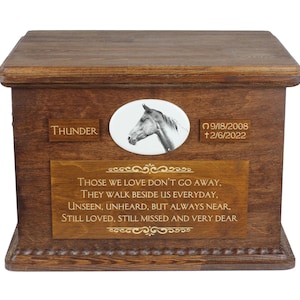 Akhal-Teke grote urn voor paardenas, gepersonaliseerd gedenkteken met foto, aangepaste paardenurn, paardengedenkteken, grote urn voor paard