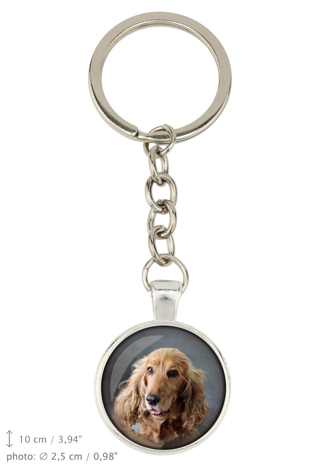 English Cocker Spaniel. Keyring keychain with box for dog lovers. Photo jewellery. Men s jewellery. Handmade
