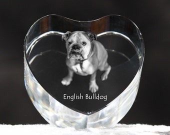 Bulldog, English Bulldog, crystal heart with dog, souvenir, decoration, limited edition, Collection