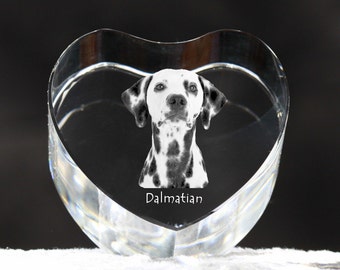 Dalmatian, crystal heart with dog, souvenir, decoration, limited edition, Collection