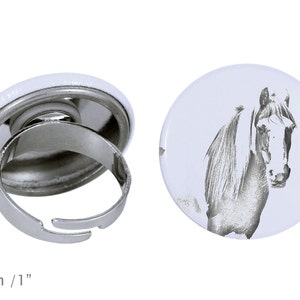 Ring with a horse - Fell pony