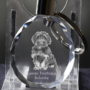 Bolonka   , Dog Crystal Keyring, Keychain, High Quality, Exceptional Gift . Dog keyring for dog lovers