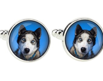 Siberian Husky. Cufflinks for dog lovers. Photo jewellery. Men's jewellery. Handmade