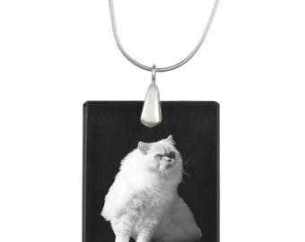 Himalayan, cat Crystal Pendant, SIlver Necklace 925, High Quality, Exceptional Gift, Collection!