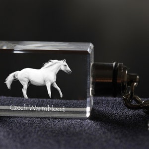 Czech Warmblood , Horse Crystal Keyring, Keychain, High Quality, Exceptional Gift