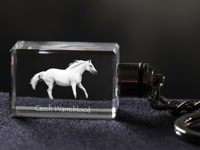 High Quality Czech Warmblood Exceptional Gift Horse Crystal Keyring Keychain