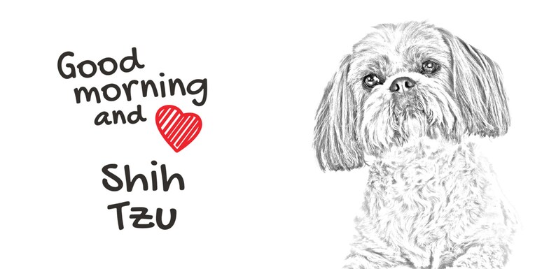 Puede incluir: Buenos d&iacute;as y coraz&oacute;n, Shih Tzu. Un boceto en blanco y negro de un perro Shih Tzu.