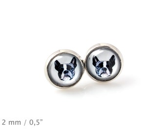 Boston Terrier. Pet in your ear. Earrings. Photojewelry. Handmade.