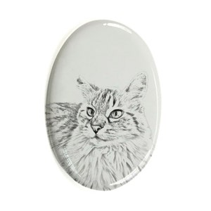May include: A black and white photo of a cat with long fur, looking to the left. The cat is on a white oval background.