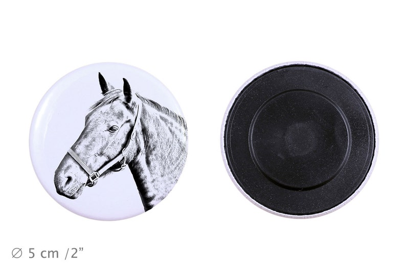 Magnet with a horse Danish Warmblood