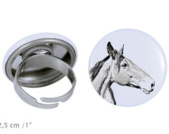 Ring with a horse - Australian Stock Horse