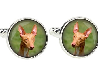 Pharaoh Hound. Cufflinks for dog lovers. Photo jewellery. Men's jewellery. Handmade