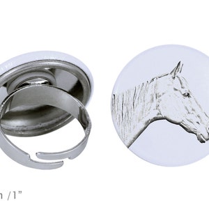 Ring with a horse - Retired Race Horse