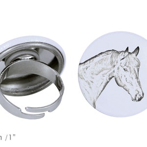 Ring with a horse - Bay 