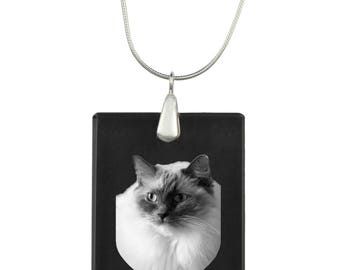 Ragdoll,  cat Crystal Pendant, SIlver Necklace 925, High Quality, Exceptional Gift, Collection!