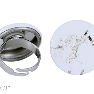 Ring with a horse - Falabella