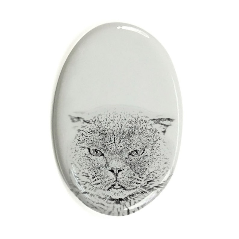 Gravestone oval ceramic tile with an image of a cat. Scottish Fold