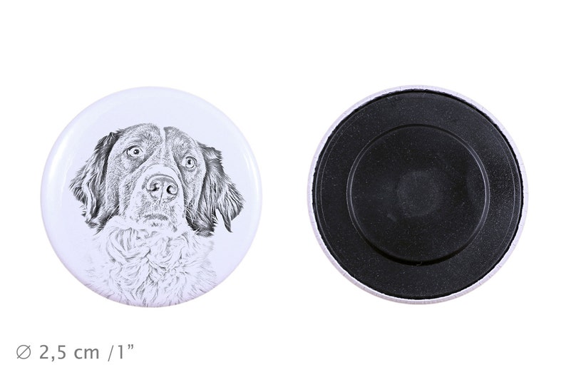 French Spaniel Magnet with a dog