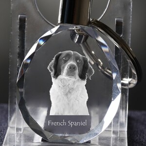 French Spaniel     , Dog Crystal Keyring, Keychain, High Quality, Exceptional Gift . Dog keyring for dog lovers