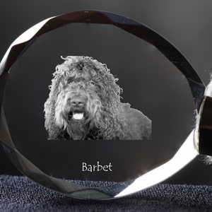 Barbet   , Dog Crystal Keyring, Keychain, High Quality, Exceptional Gift . Dog keyring for dog lovers
