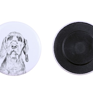 Ímã com cachorro - Vizsla de pêlo duro