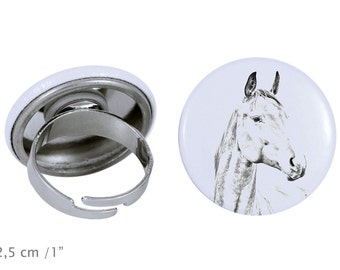 Ring with a horse - American Warmblood