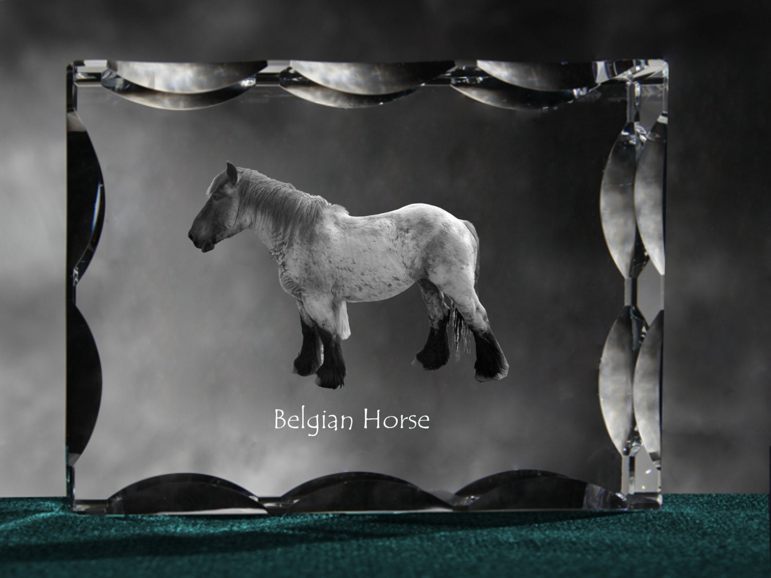 Belgian Horse, Draft Horse, Cubic Crystal With Souvenir, Decoration, Limited Edition, Collection
