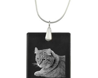 Highland Lynx, cat Crystal Pendant, SIlver Necklace 925, High Quality, Exceptional Gift, Collection!