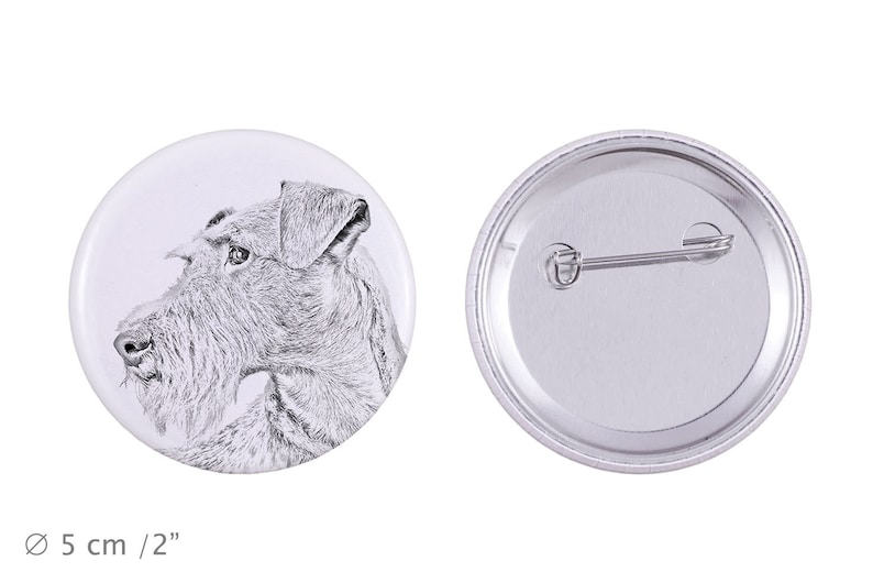 Irish terrier Buttons with a dog