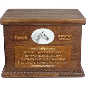 Falabella grote urn voor paardenas, gepersonaliseerd gedenkteken met foto, aangepaste paardenurn, paardengedenkteken, grote urn voor paard